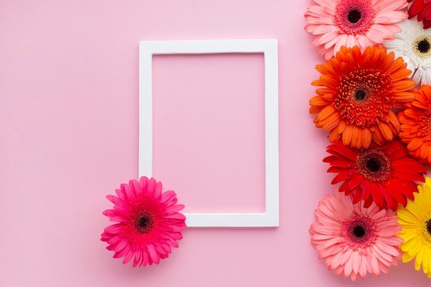 Cornice vuota con fiori margherita gerbera | Foto Gratis