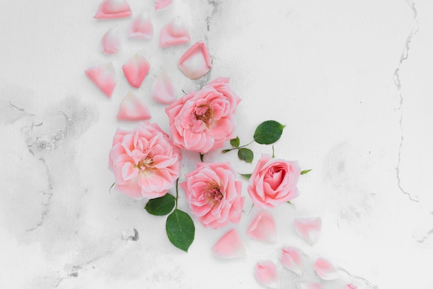 Disposizione piana delle rose della molla con i petali e il fondo di marmo Foto Gratuite