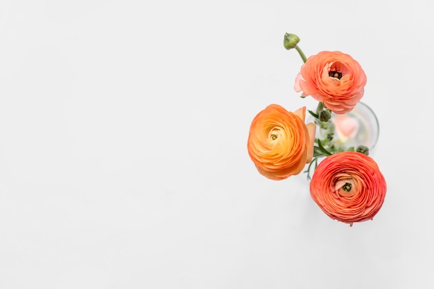 Fiori d'arancio freschi su steli in vaso Foto Gratuite