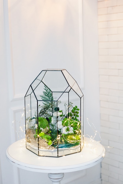 Composizioni Piante Grasse In Vetro.Florarium Composizione Di Piante Grasse Pietra Sabbia E Vetro Elemento Di Interni Decorazioni Per La Casa Terarium In Vetro Foto Premium