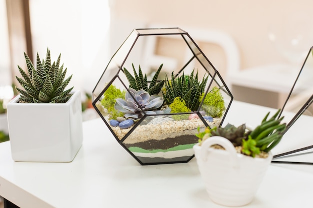 Composizione Di Piante Grasse In Vetro.Florarium Composizione Di Piante Grasse Pietra Sabbia E Vetro Elemento Di Interni Decorazioni Per La Casa Terarium In Vetro Foto Premium