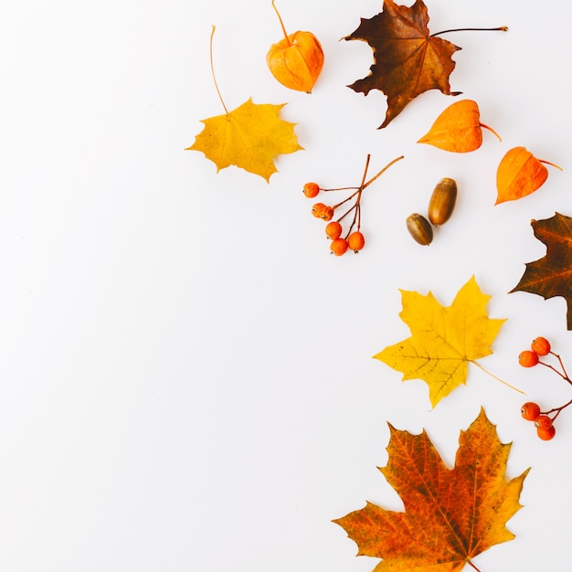 Fondo piano di disposizione di autunno su bianco Foto Gratuite