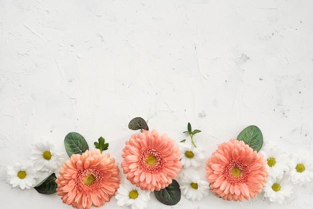 Gerbera fiori con margherite e copia spazio | Foto Gratis