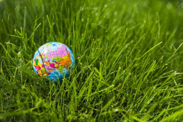 Globo gonfiabile sull'erba verde Foto Gratuite