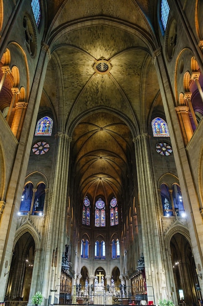 Interno della cattedrale di notre dame Scaricare foto 