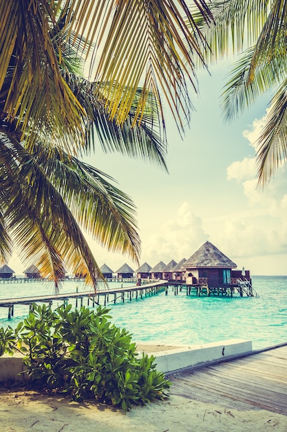 Isola delle maldive | Foto Gratis