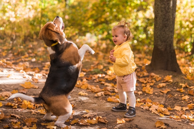 La ragazza che sta davanti al suo cane di animale domestico sta sulla sua gamba posteriore in foresta Foto Gratuite
