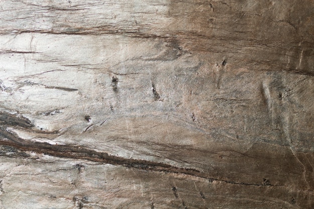 La trama della pietra naturale Foto Premium