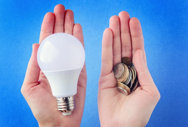 Lampada a led e un mucchio di monete in mano, palme su un backgroun blu Foto Premium
