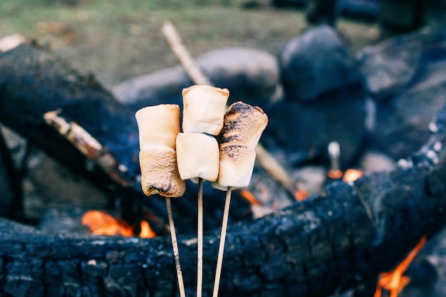 Marshmallow su un bastone sopra il fuoco cucinare marshmallow in fiamme Foto Premium