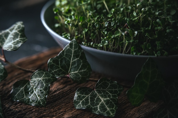 Microgreen in un piatto grigio su un rustico in legno Foto Premium