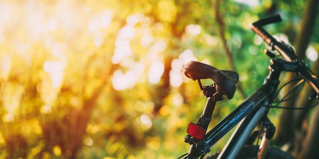 Mountain bike nella foresta al tramonto. Foto Premium