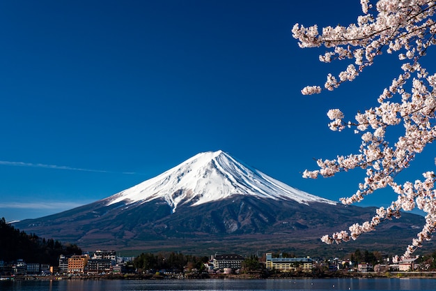 Mt. fuji in primavera con i fiori di ciliegio a kawaguchiko fujiyoshida, in giappone. Foto Premium