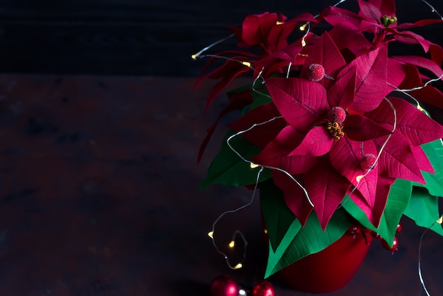 Stella Di Natale Princettia.Natale Natura Morta Con Stella Di Natale Gaultheria E Decorazioni Su Tavola Di Legno Foto Premium