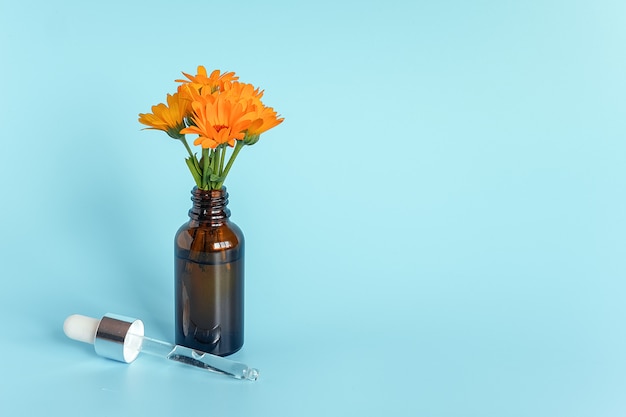Olio essenziale in bottiglia contagocce marrone aperta con pipetta in vetro disteso e calendula di fiori d'arancio su sfondo blu. Foto Premium