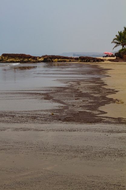 Pezzi di prodotti petroliferi lavati in riva al mare Foto Premium