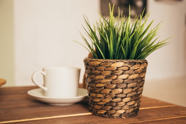 Pianta verde in vaso sulla tavola con la tazza di caffè ...