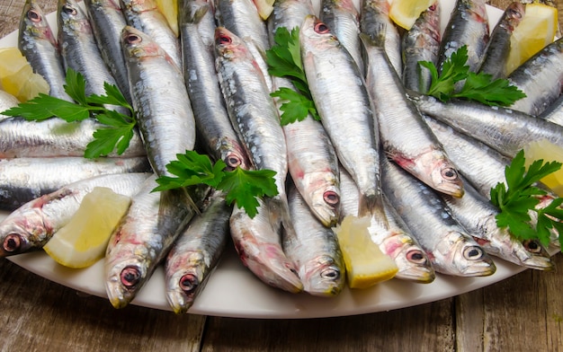 Sardine fresche Foto Premium