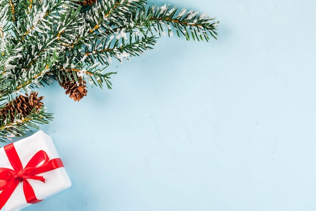 Albero Di Natale Con Pigne E Neve.Sfondo Chiaro Di Natale E Capodanno Concetto Di Biglietto Di Auguri Rami Di Alberi Di Natale Con Pigne E Neve Artificiale Con Scatola Regalo Spazio Di Copia Vista Dall Alto Foto Premium