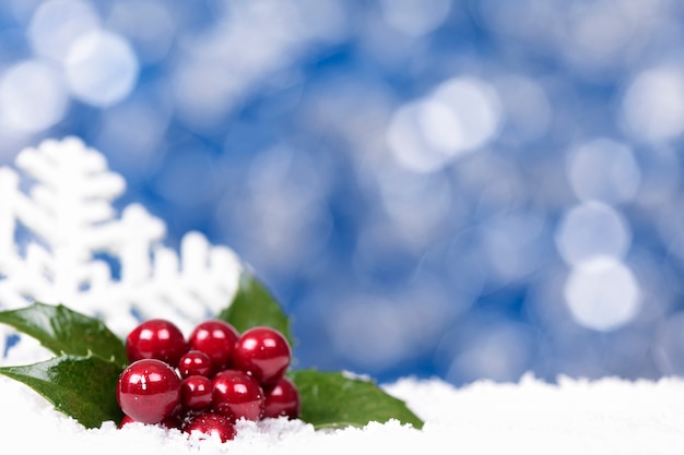 Immagini Neve E Natale.Sfondo Natale Con La Neve E Bacche Foto Gratis