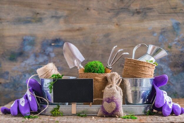 Strumenti, vasi e utensili di giardinaggio su fondo di legno rustico, con un bordo di gesso Foto Premium