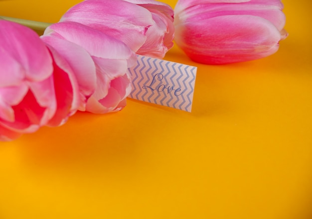 Tulipani rosa su sfondo giallo con nota amore lettera d'amore Foto Premium