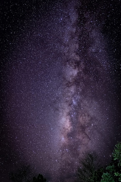 Cielo Stellato D Estate.Foto Premium Via Lattea Bellissimo Cielo Notturno Di Estate Con Le Stelle Sfondo