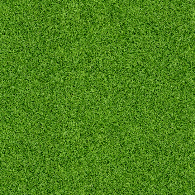 D Rendem Da Textura Da Grama Verde Para O Fundo Fundo De Textura De