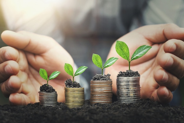 A mão protege a pilha do dinheiro com a planta que cresce em moedas. finanças do conceito Foto Premium