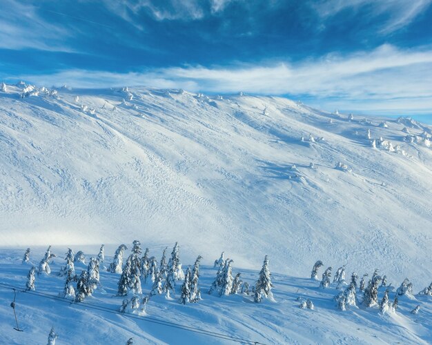 Abetos nevados gelados e teleférico na colina de manhã de inverno