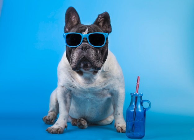 Adorável buldogue francês com óculos de verão Foto Premium