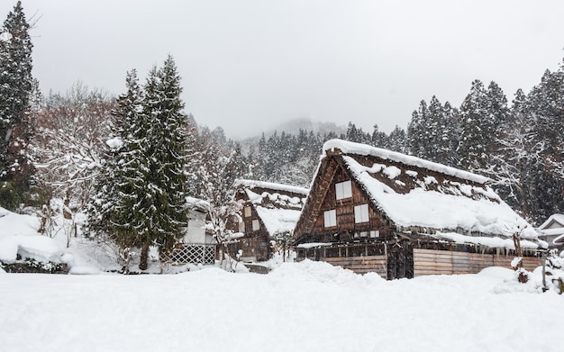 Aldeia de shirakawago com neve cair na temporada de inverno Foto Premium
