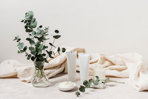 Arranjo de spa com cremes e plantas Foto gratuita