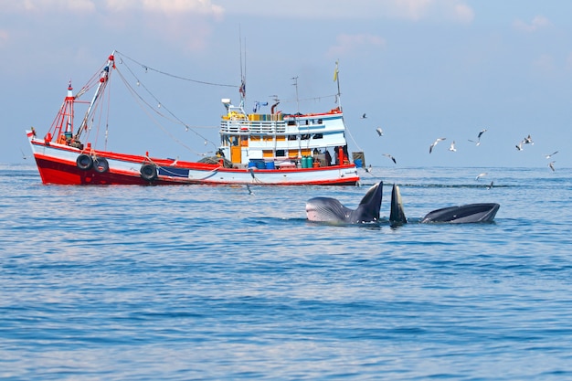 A Pesca Da Baleia By Rita Flor Prezi