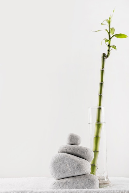 Bambu da sorte em vaso perto da pilha de pedras spa na toalha contra o pano de fundo branco Foto gratuita