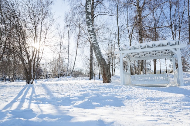 Bancos De Parques E Rvores Cobertas Por Neve Pesada No Inverno Muita