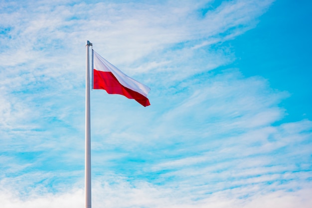 Bandeira da polônia contra o fundo do céu | Foto Premium