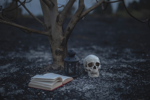Belo conceito de halloween com livros de feitiços e caveira | Foto ...