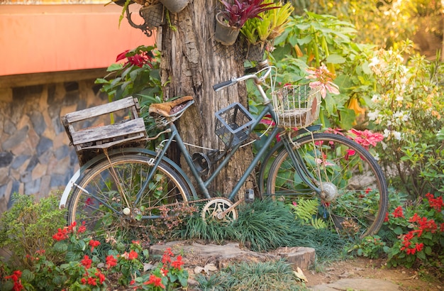 Resultado de imagem para bicicleta no jardim