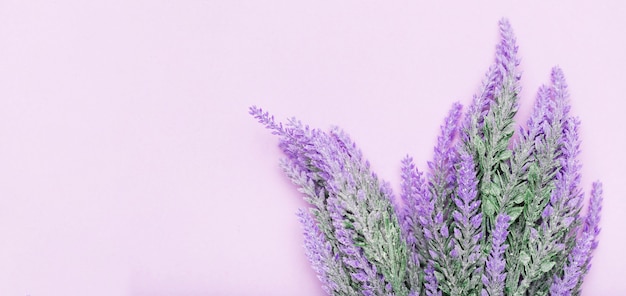 bonito-arranjo-de-flores-de-lavanda_23-2