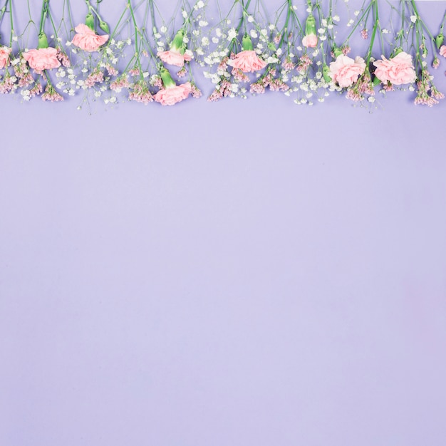 Borda superior decorada com limonium; gypsophila e flores de cravos em pano de fundo roxo Foto gratuita