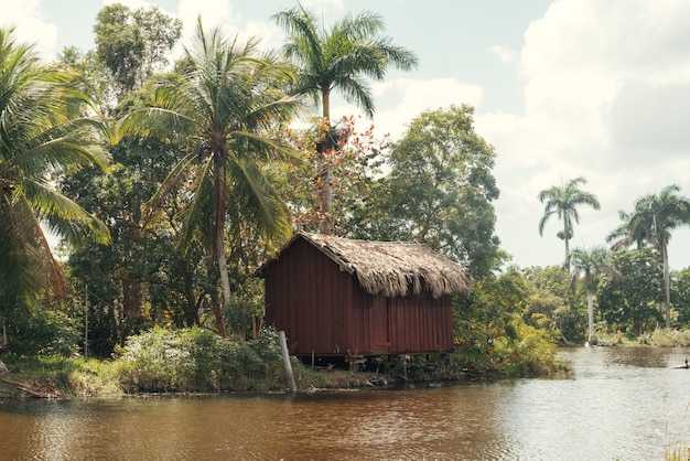 Cabana Na Floresta Tropical Na Margem Do Rio Foto Premium