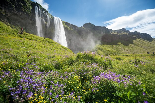 Cachoeira seljalandsfoss na islândia no verão Foto Premium