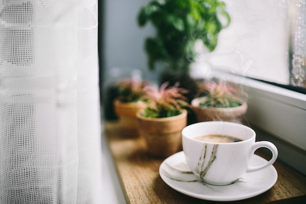 Cactos e café em um peitoril da janela de madeira Foto Premium