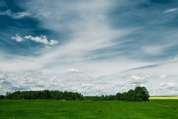 Campo Verde C U Azul Nuvens Brancas Foto Premium