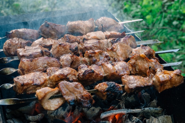 Featured image of post Foto De Carne Assada No Espeto 19 00 rod zio de carne 2 lingui as 2 coxa de frango lombo de porco p fumada 2 bifes de picanha maminha picanha abacaxi