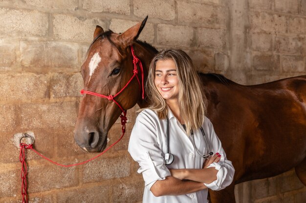 Cavalo de exame veterinário. Foto Premium