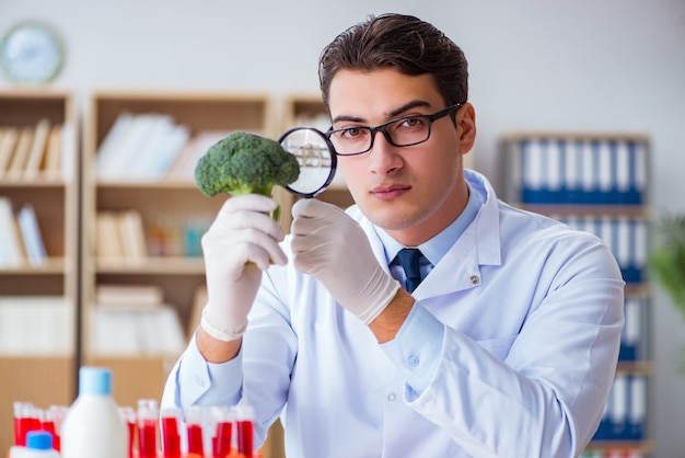 Cientista trabalhando em frutas e legumes orgânicos Foto Premium