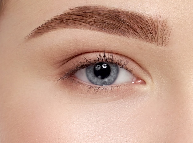 Closeup De Lindos Olhos Azuis Femininos Com Cílios Longos Foto Premium