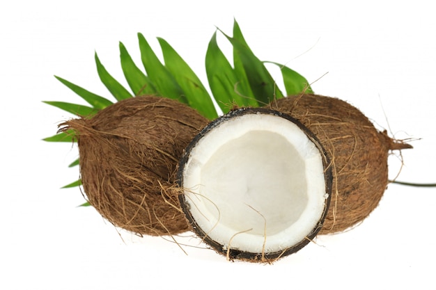 Coco. meio coco fresco e uma folha de palmeira isolada em um fundo branco. Foto Premium